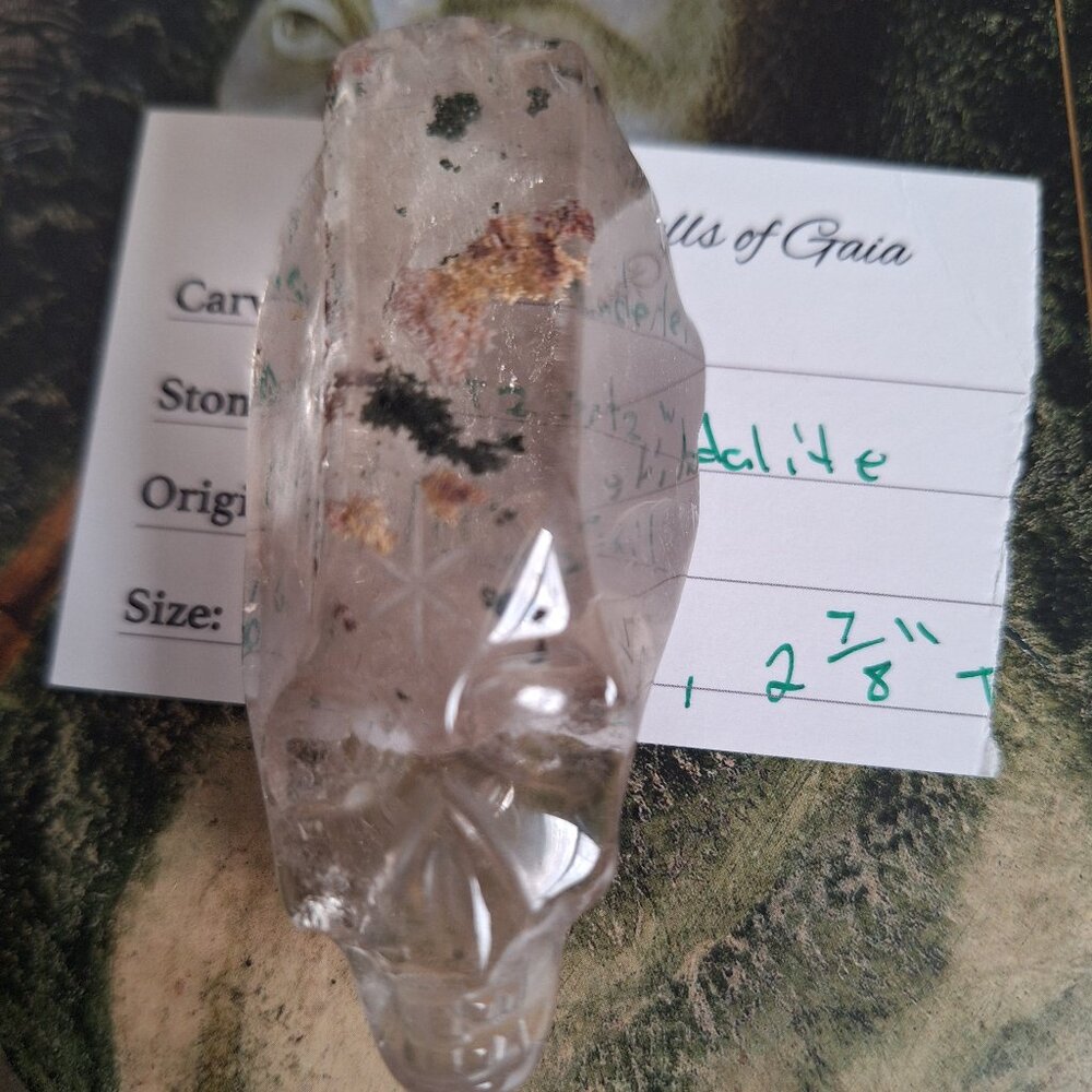 Quartz with lodalite palm skull